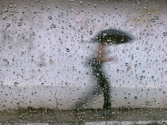 umbrella and rain drops
