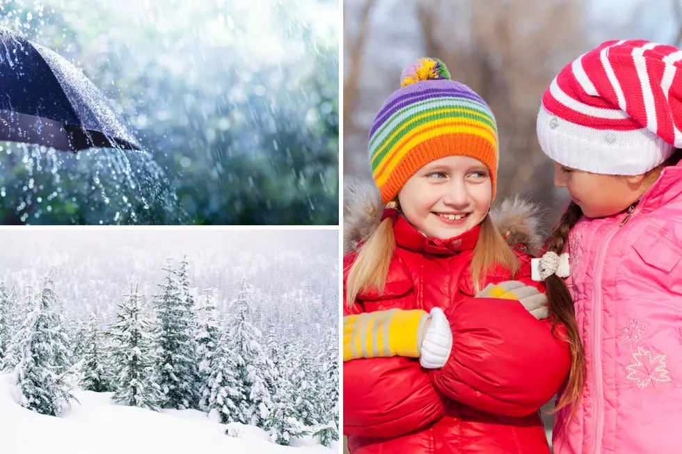 Comprehensive 2023-2024 Winter Predictions for Alabama and U.S.